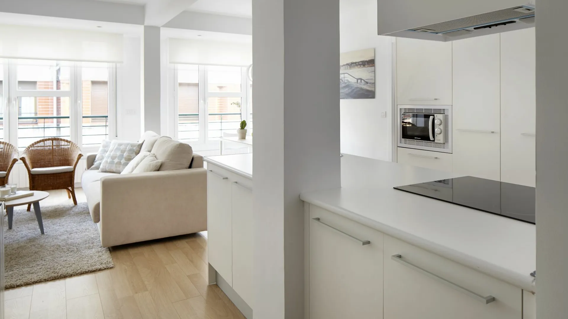 Karkizano Apartment By Feelfree Rentals San Sebastian Spain